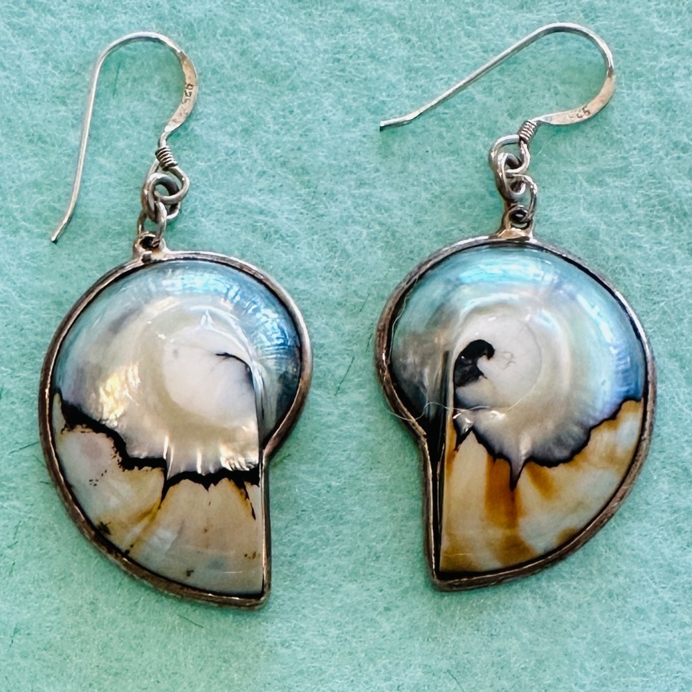 Natural Shell Earrings